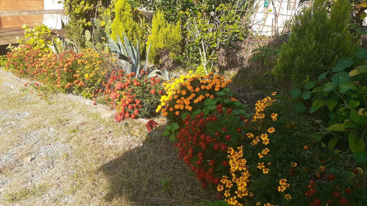 Guest House Ahan Gagra Luaran gambar
