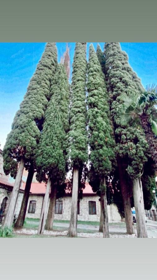 Guest House Ahan Gagra Luaran gambar