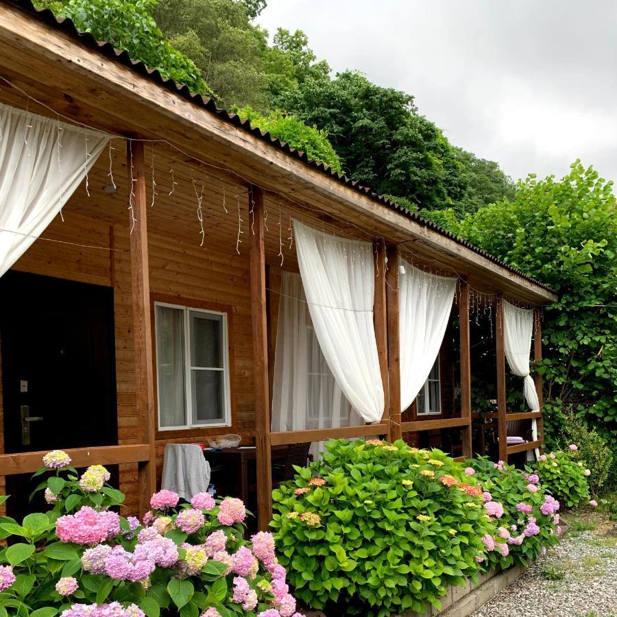 Guest House Ahan Gagra Luaran gambar