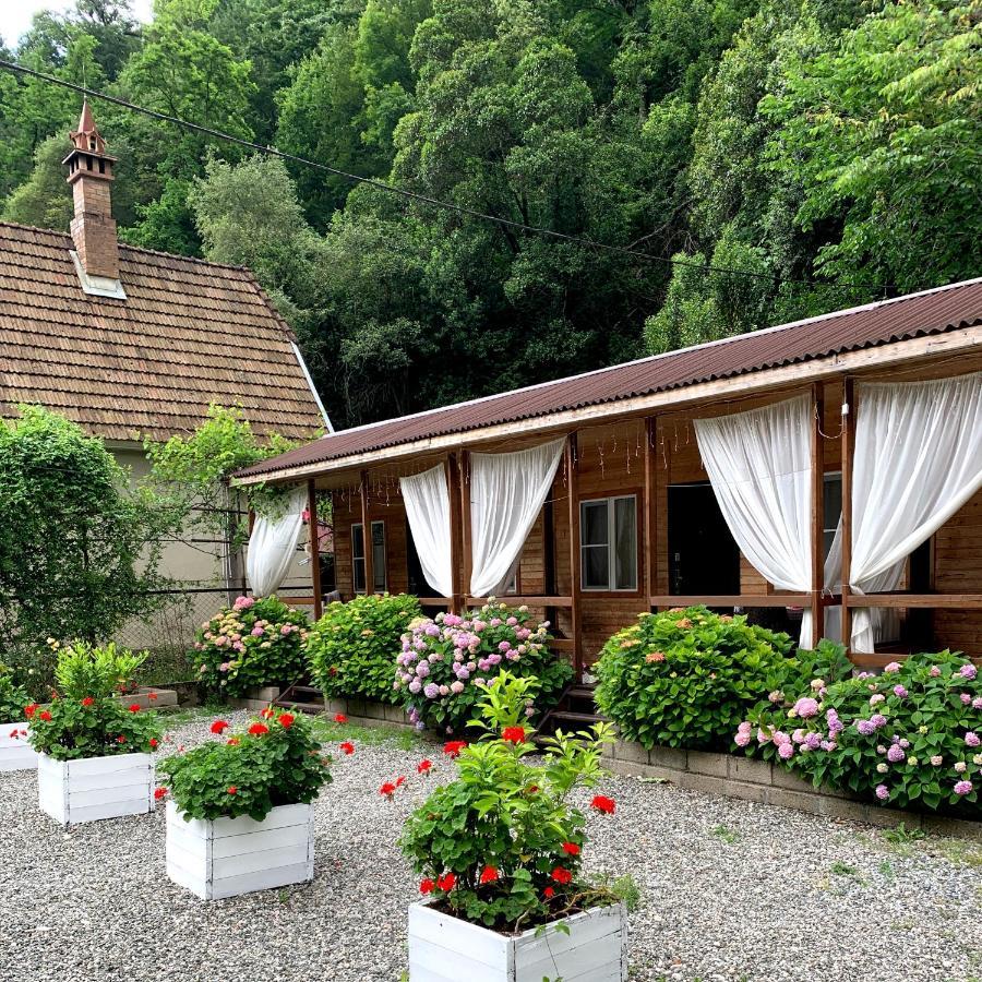 Guest House Ahan Gagra Luaran gambar